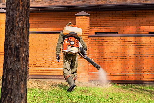 Bed Bug Clearance Verification and Documentation in Eagle